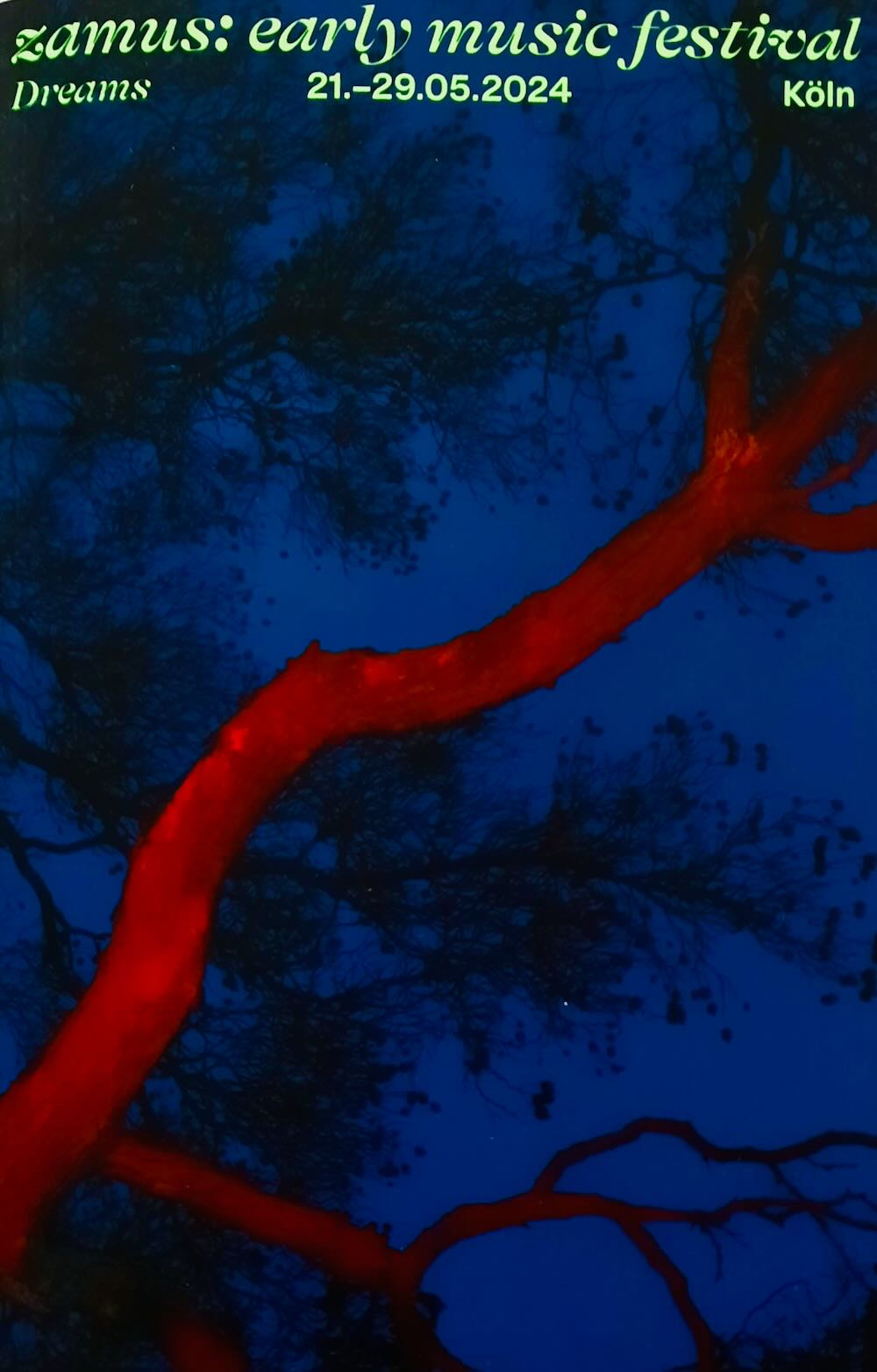 jh_zemf_20240420_142711